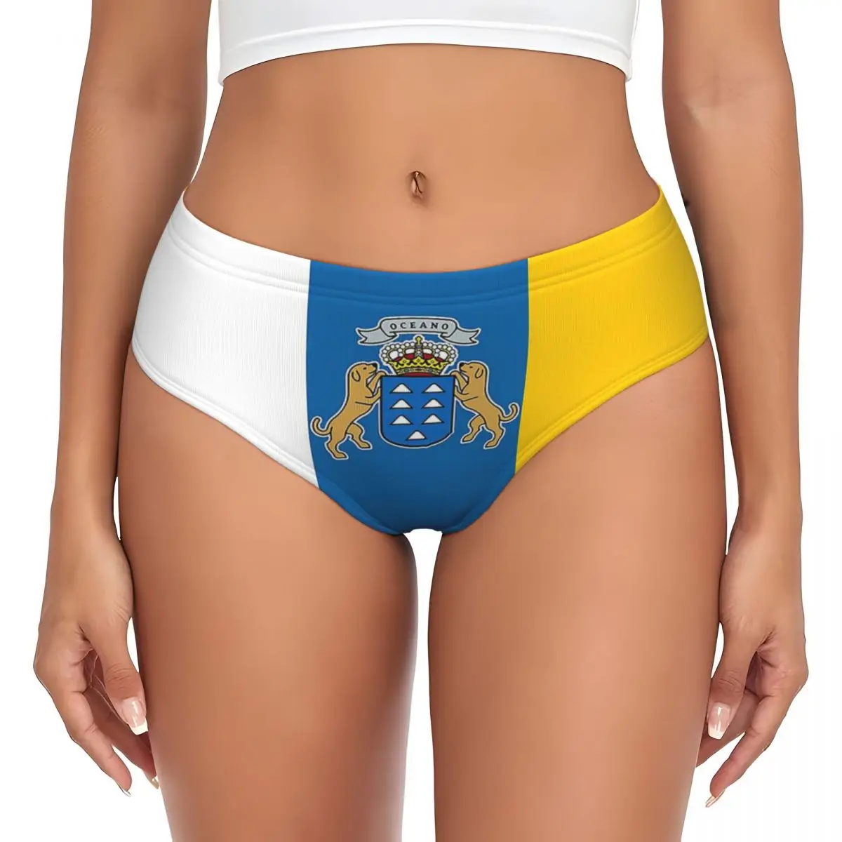 Custom Spain Flag Oceano Canary Islands Panties Briefs Women's Comfort Briefs Underwear Breathable Female Underpants