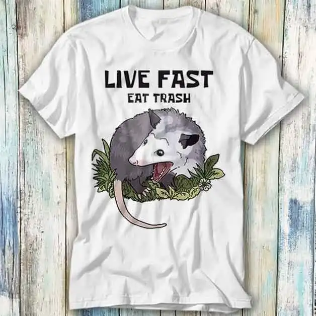 Live Fast Eat Trash Opossum T Shirt Meme Funny Top Style Gamer Movie Music 466