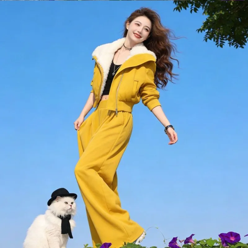 

Женский осенне-зимний новый бархатный утепленный термосвитер с большими лацканами, повседневные брюки, комплект из двух предметов, пригородный костюм в стиле ретро