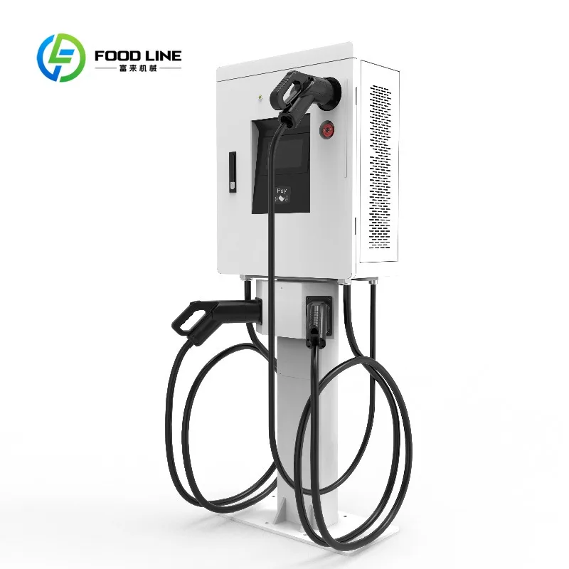 Customized Adjustable Power DC EV Charging Station, GB/T Single Connector Pedestal Mount Electric Car Charger for Parking Lot