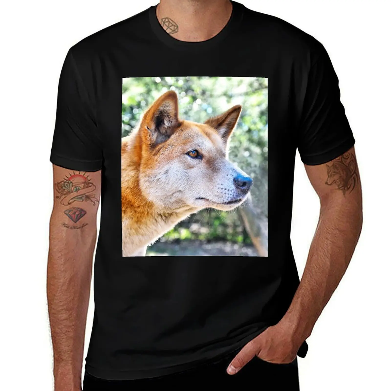 

Dingo Portrait: Tyipa T-Shirt Large Size Casual Short Sleeve Top