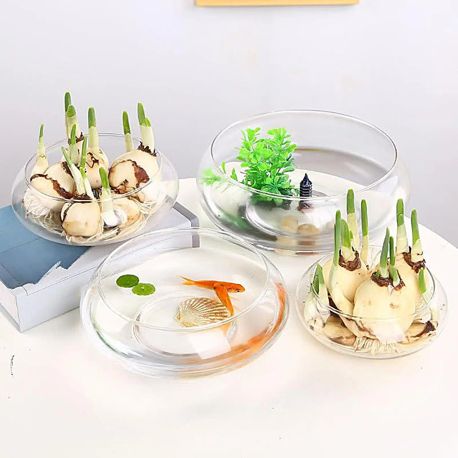Fish Glass Bowl Glass Large Hydroponics Flower Pot Shallow Round Wide Plants Bowl Small Aquariums Transparent Goldfishes Bowl