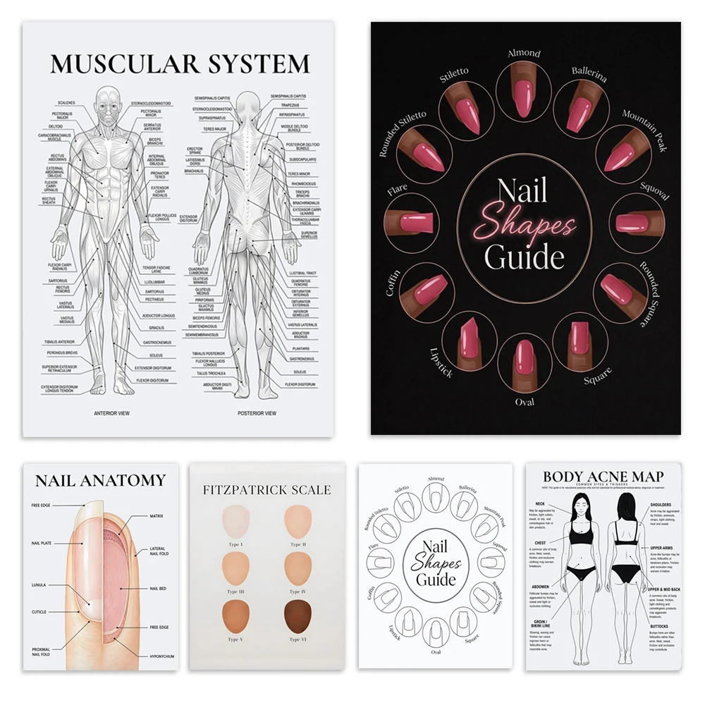 Nail structure, body acne distribution diagram, body muscle diagram, nail shape guide, beautician, nail salon decoration poster