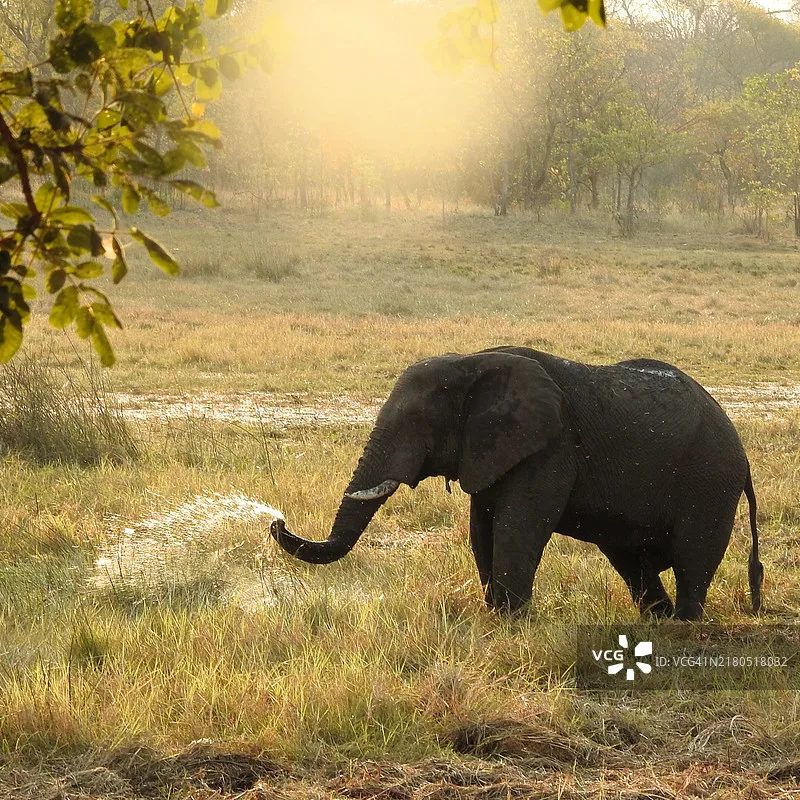 Betafpv O4 Pro Came…