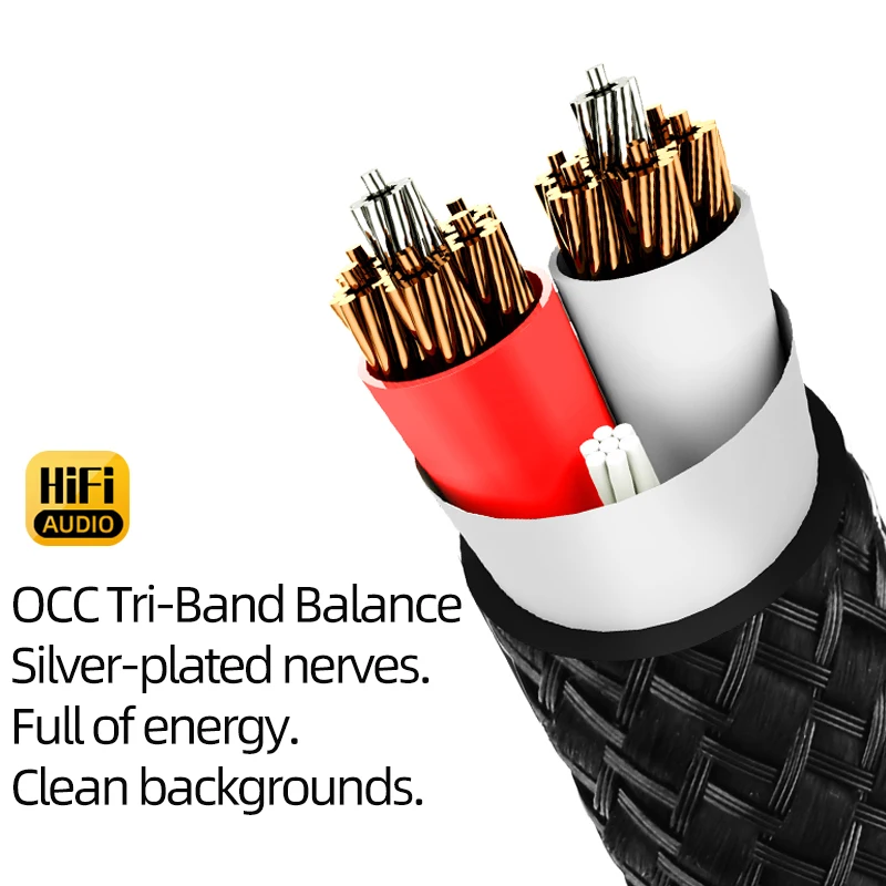 One Pair HiFi Speaker Cable High-end Audio Amplifier Cable High Purity OCC with Banana 24K Gold Plug and Free 8 PCS Y Plugs