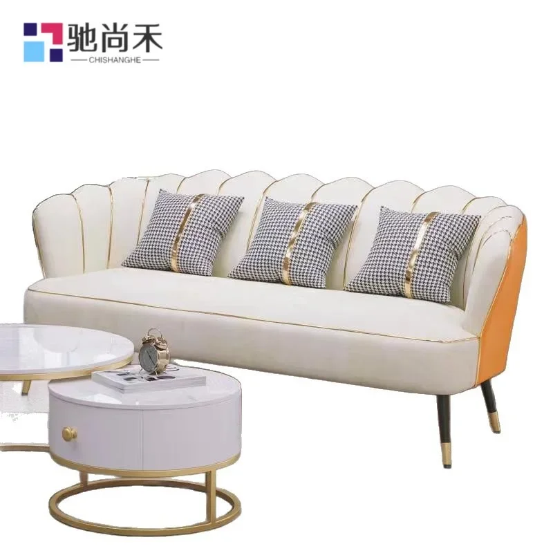 DSA light luxury cat claw skin small apartment double household living room beauty salon clothing store barber shop small sofa