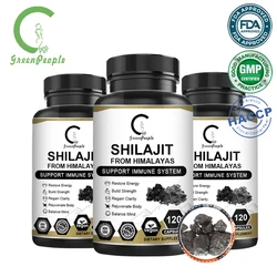 GPGP Greenpeople Shilajit Capsule Rich in Humic acid Fulvic Acid &Trace Minerals Complex Absorption For Sterility &Impotency