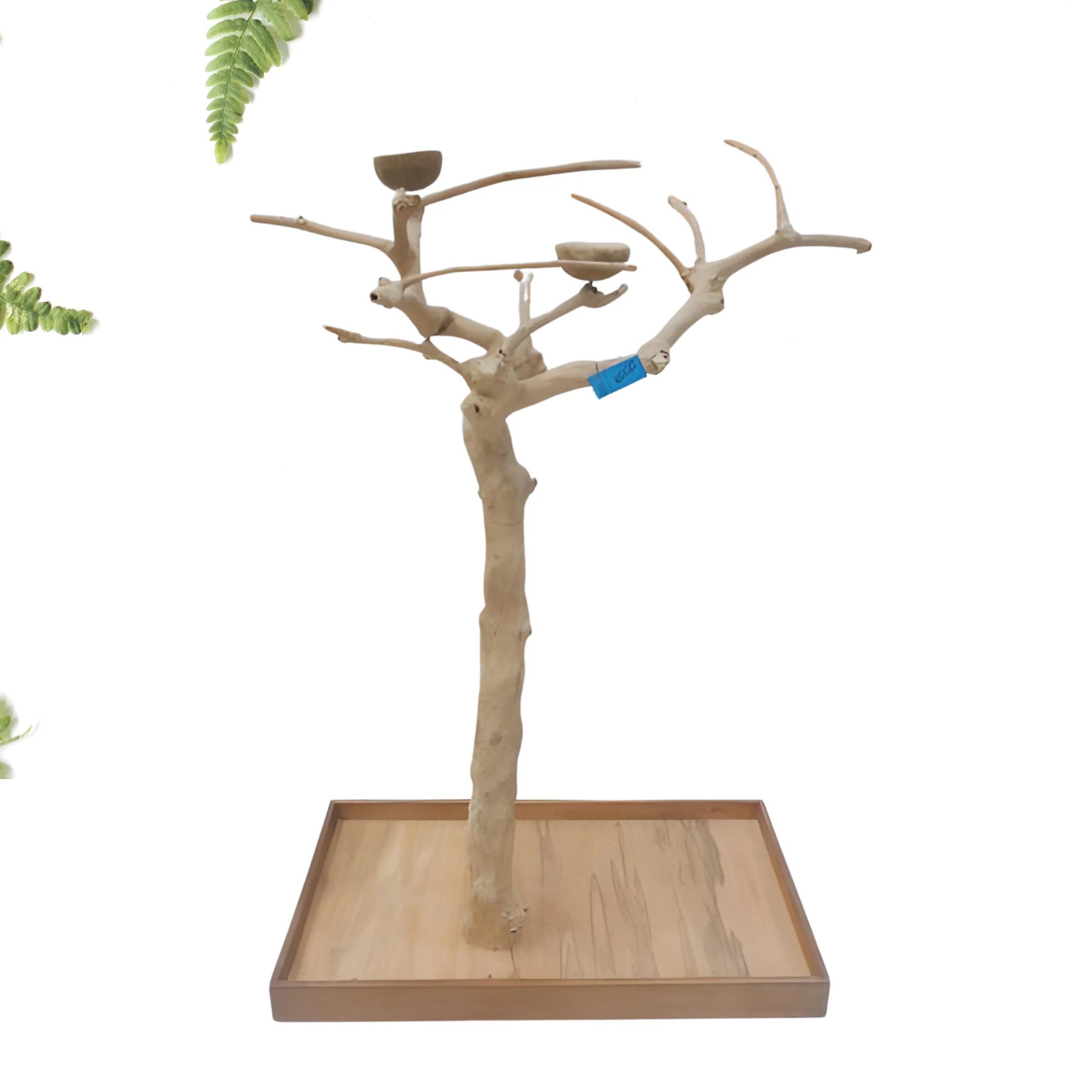 Coffee Wood Bird Perch For Birds/Parrots Natural | High-Quality Wooden Perch For Birds From Vietnam VI HUYNH +84 911695402