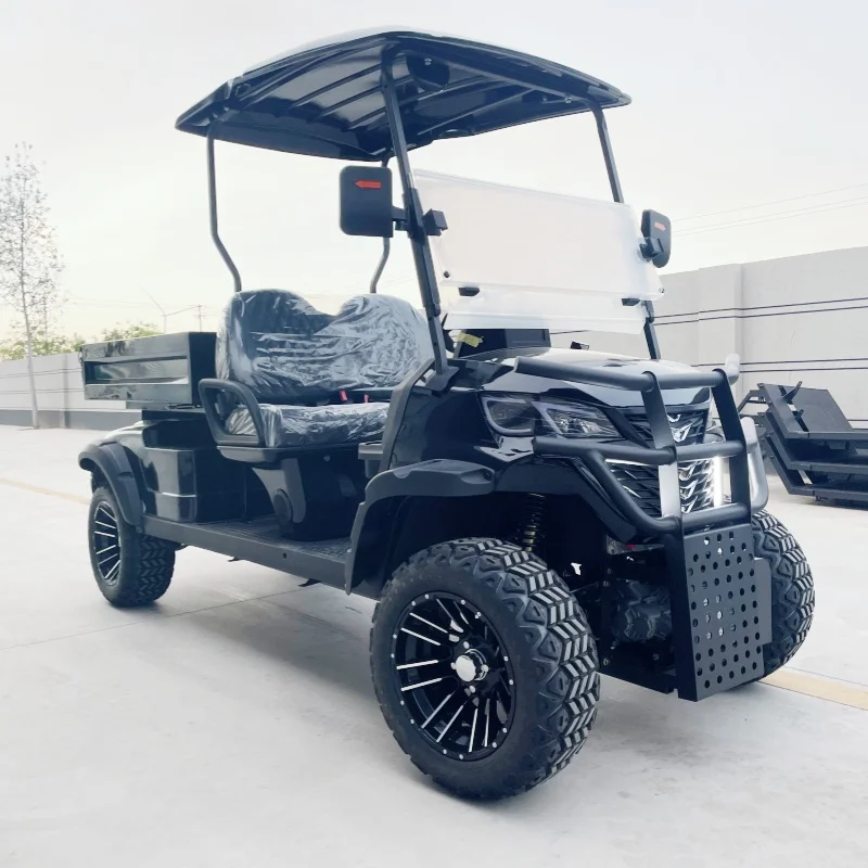 

Factory 2-Seater Electric Golf Cart Multi-Purpose Off-Road Vehicle Black Upholstered Seat Off-Road Tires Rear Cargo Box Bumper