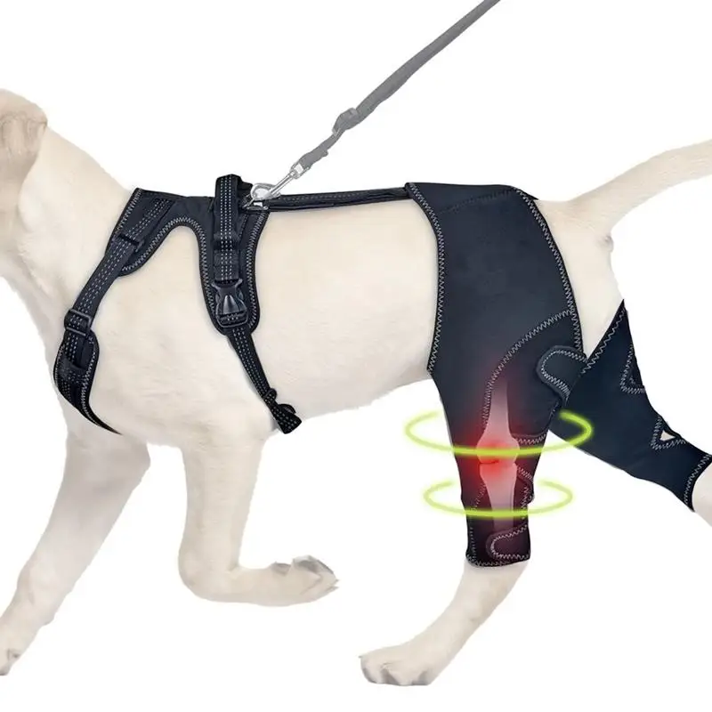 Dog Leg Braces For Back Leg Pet Orthopedic Hock Support For Hip Assistance Portable Pet Knee Wound Protection For Small Animals