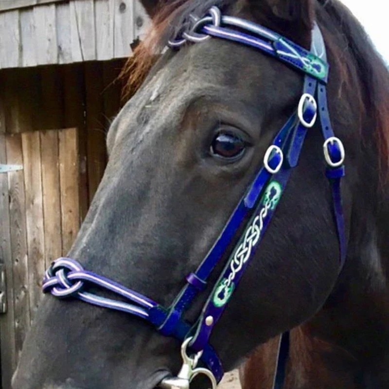 Cabestro de cuero PU y cuerdas de plomo, Halters sin límites, cómodos, ergonómicos, con hebilla de Metal