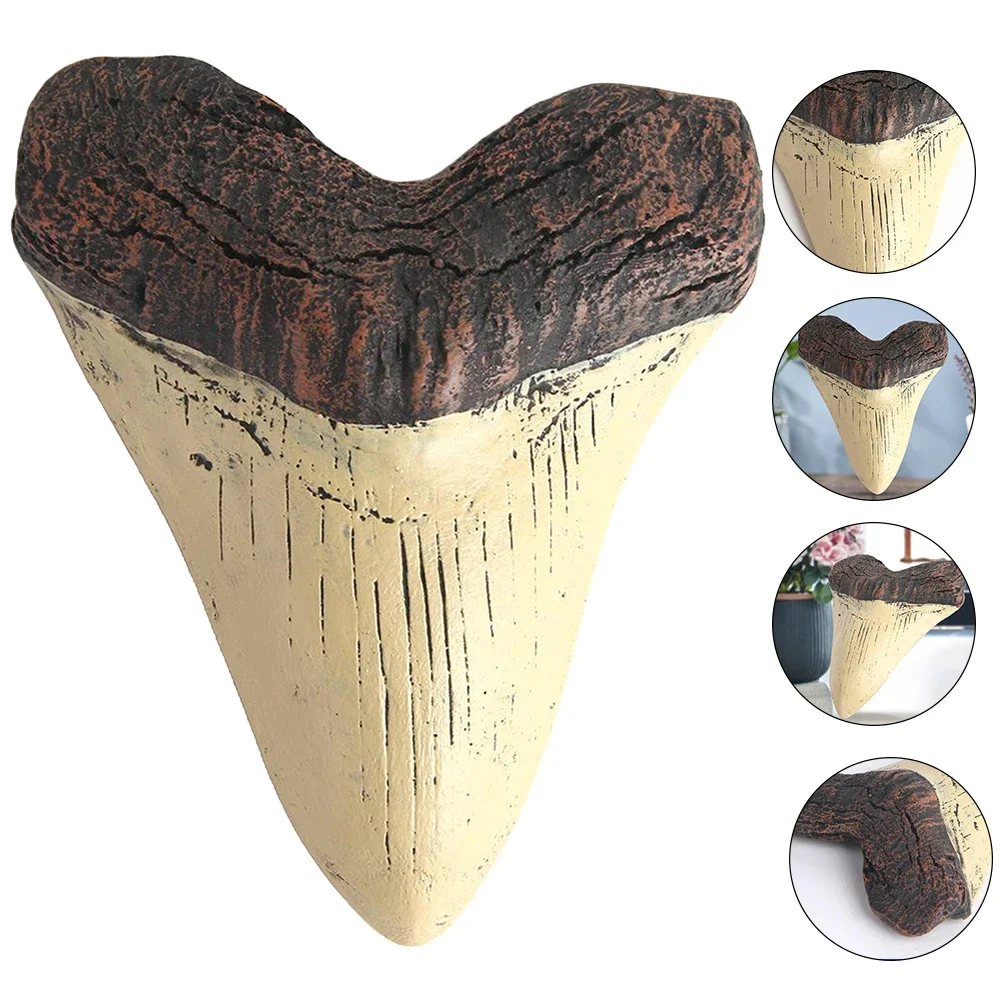 Modelo de dientes de tiburón de 5 pulgadas, diente de Megalodon gigante, fácil de limpiar, réplica de dientes de tiburón, accesorios de enseñanza de bología marina, regalos de fósiles de dientes