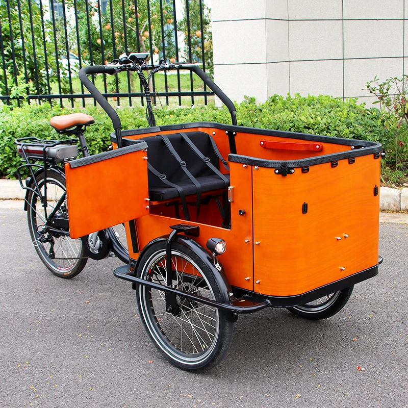 Electric Cargo Bike Dutch 3 Wheel Bicycle With Front-Load Cargo/passenger Tricycle Pet & Child Safe Design