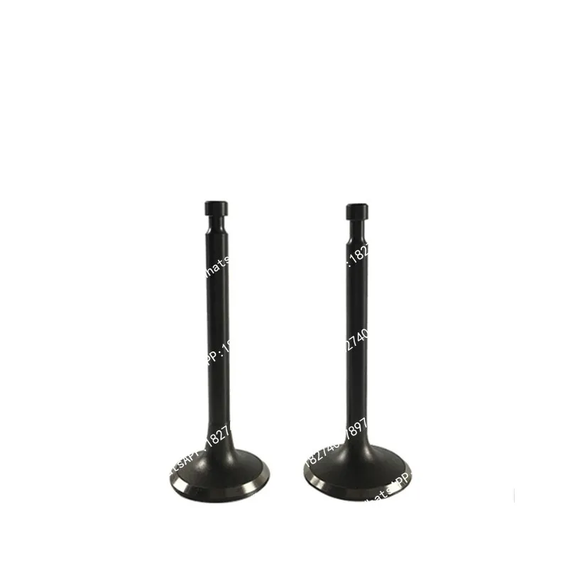 1 SET 177F 173F intake valve and exhaust For generator spare parts