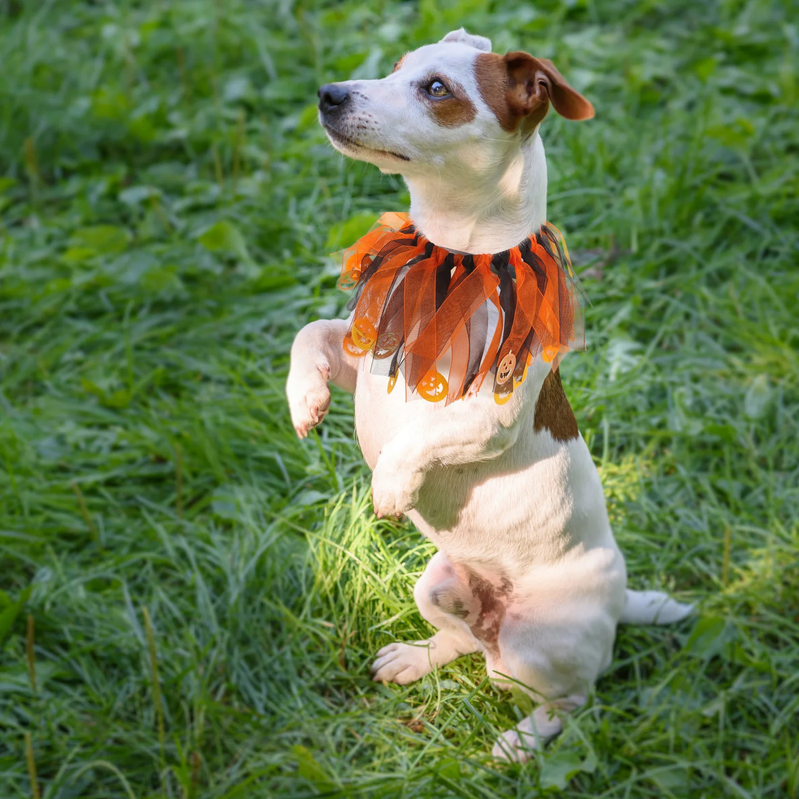 

Pet For Cats Dogs Adjustable Halloween Kitten Neck Collar Cute Decorative Collar Rabbits Puppies Polyester Party Accessory