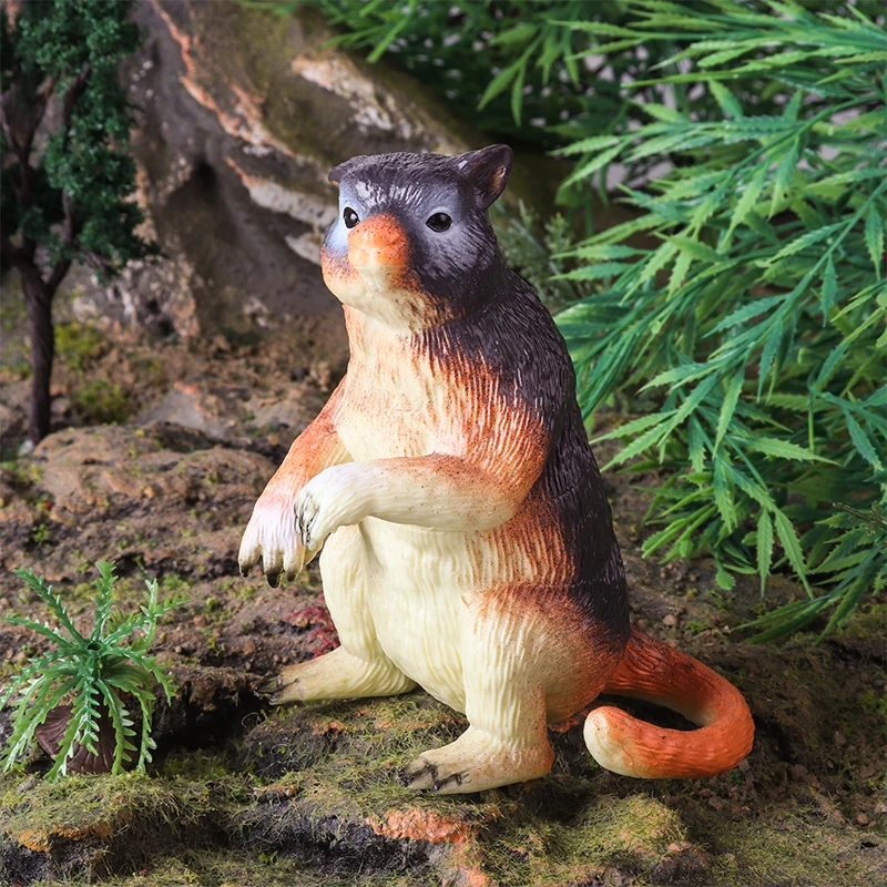 Oenux, 6 uds., animales salvajes australianos clásicos, canguro, Koala, Cassowario, modelo de figura de acción, juguete educativo, regalo para niños