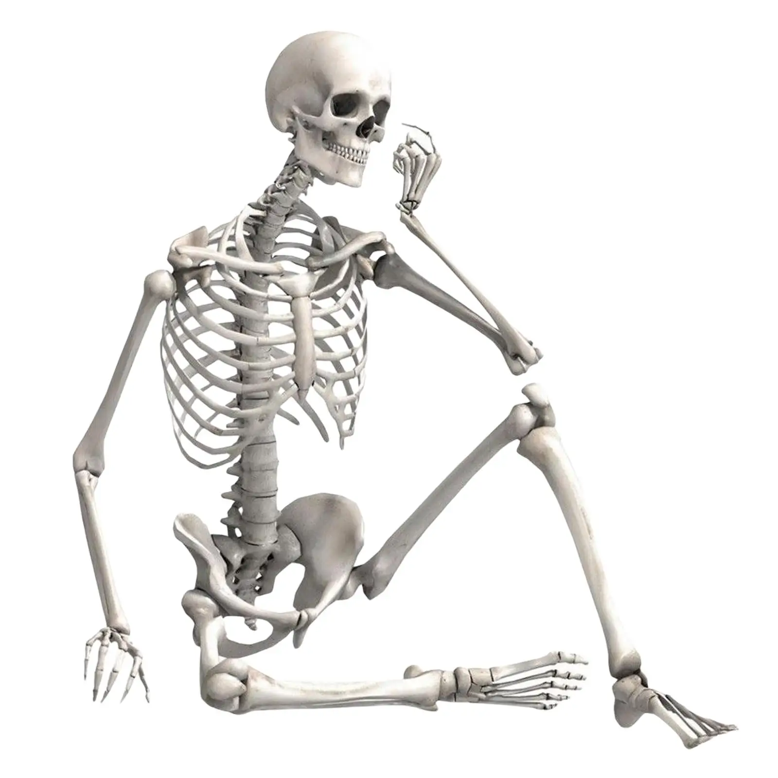 

35" Halloween Skeleton Halloween Decorations Full Body Front Yard Party Favor
