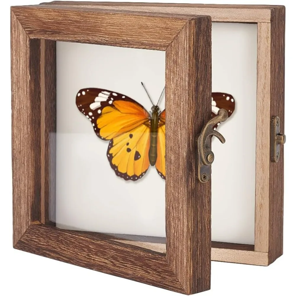 Insect Display Case Shadow Box for Insect Display with Clear Top Insect Specimen Storage Box Wood Storage Case