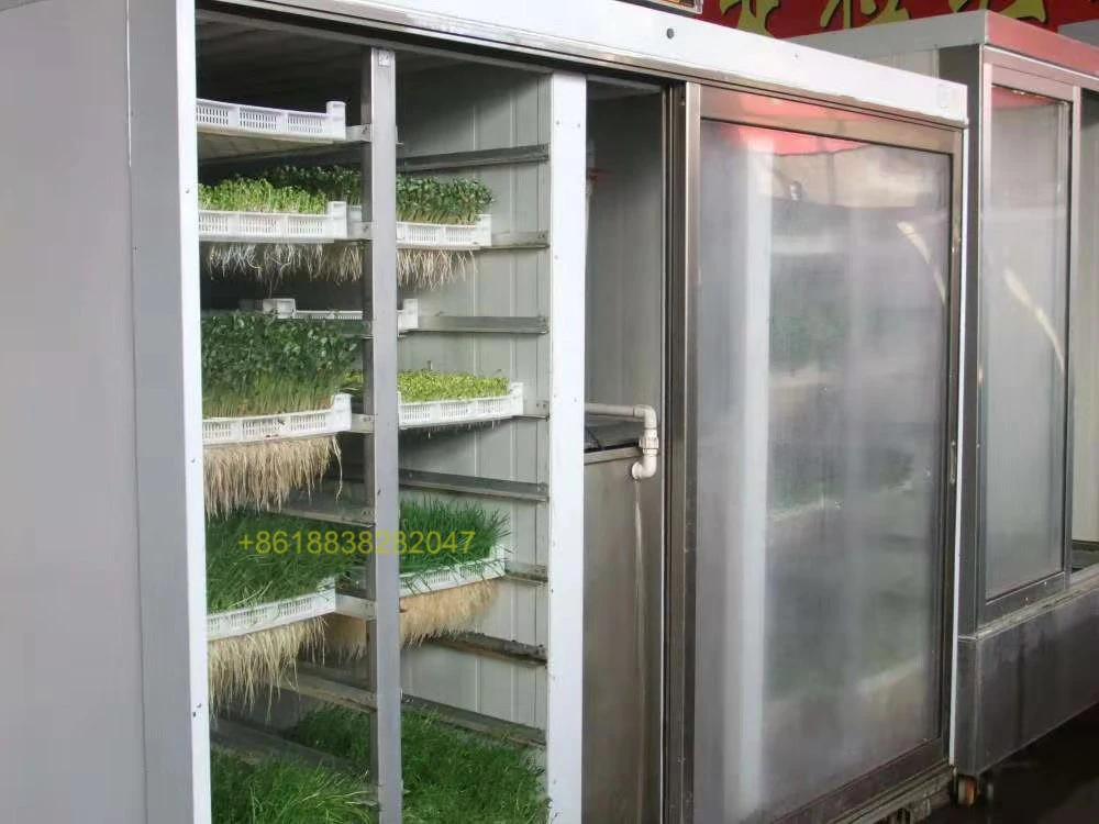 2024 hot sell bean sprout machine with 64 Bud basket