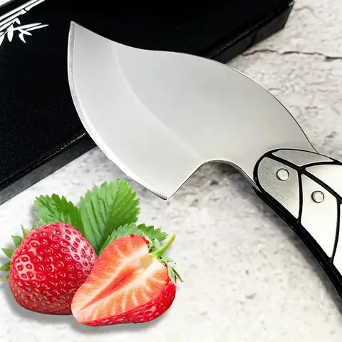 Pocket Folding Knife, Keychain Fruit Tool, Stainless Steel Leaf Shape Blade for Outdoor Camping EDC