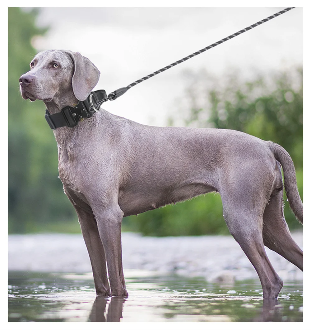 Thumbnail 4 - #59 Latest Dog Seat Belt Harness Offers