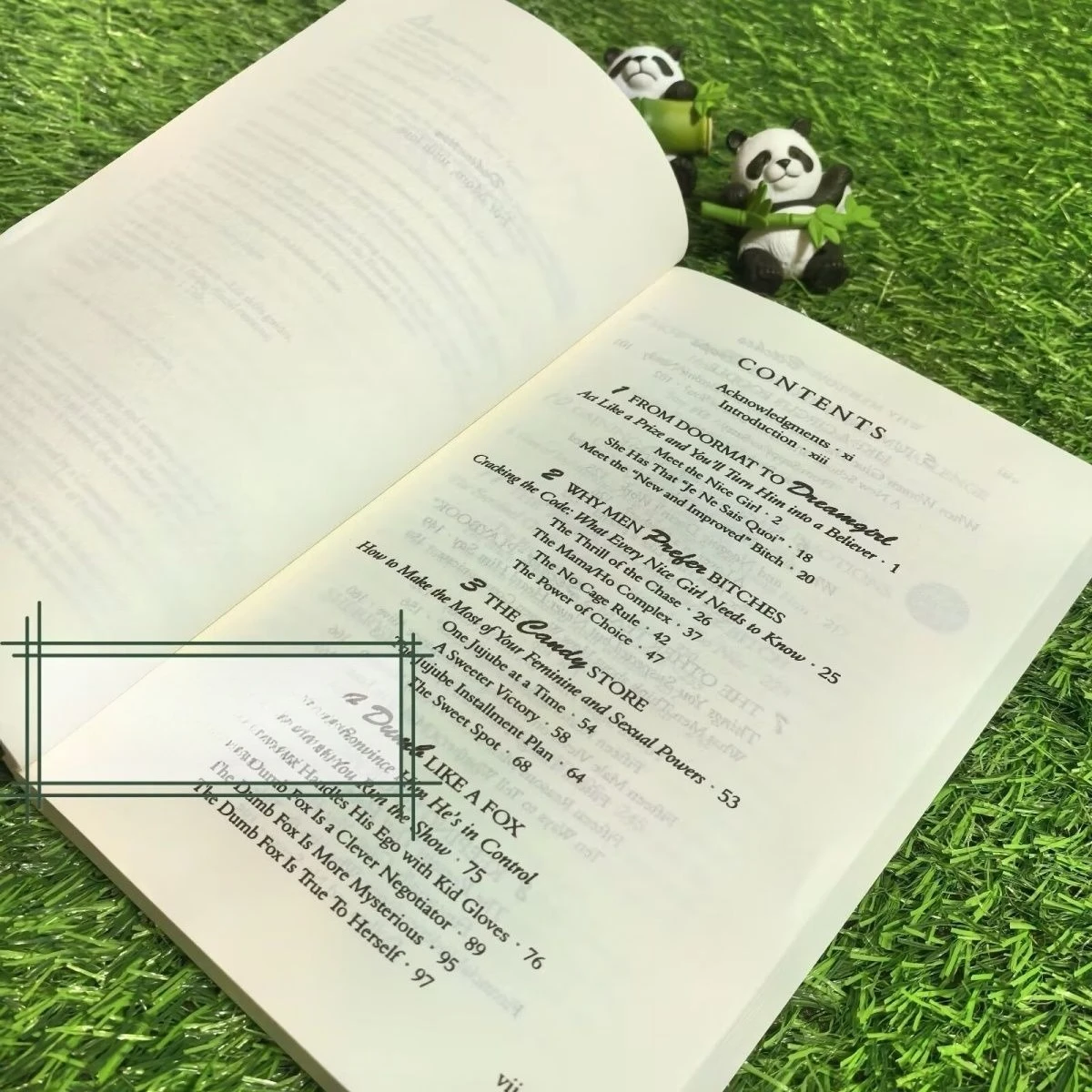 النساء السيئات، بعض الناس يحبون الحب والسحر والثقة بالنفس، كتب الروايات الإنجليزية، الكتب الإنجليزية، فلسفة Libro Phil فلسفة #3