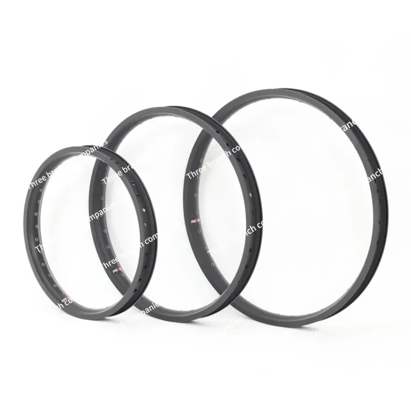 

Electric Bike Rim 20X3.0 24X3.0 26X3.0 Double Layer 36 Hole Rim Thickened Super Strong