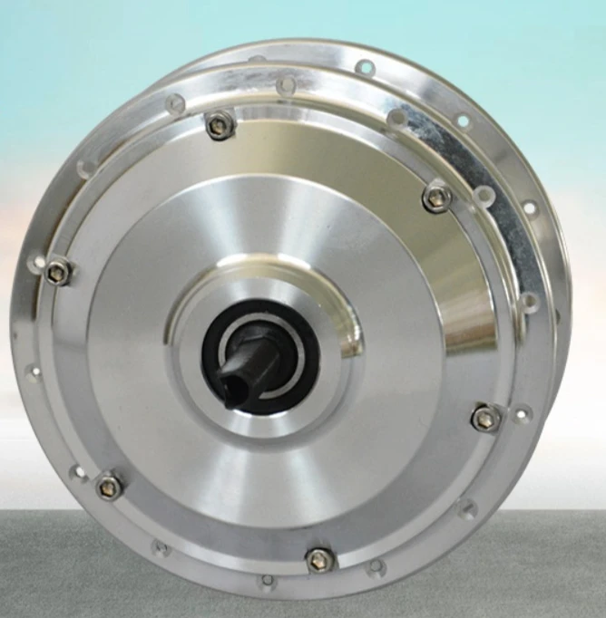Front Wheel Brushless DC Spoke Hub Motor High Speed Variable Speed Disc Brake Motor For E Bike Retrofit