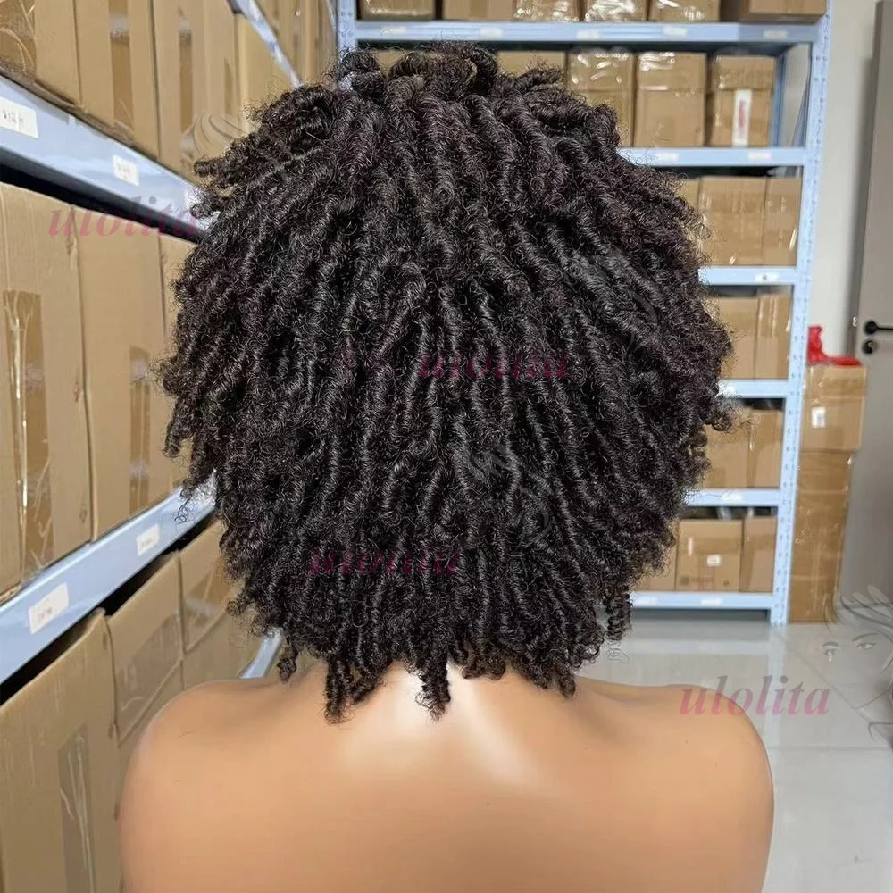 Afro-Dreadlocks 13x4 Lace 100% Echthaar Kurze Lockige Perücken für Schwarze Frauen Brasilianisches Jungfrauenhaar Transparente Lace-Perücke für den täglichen Gebrauch – Detail 4