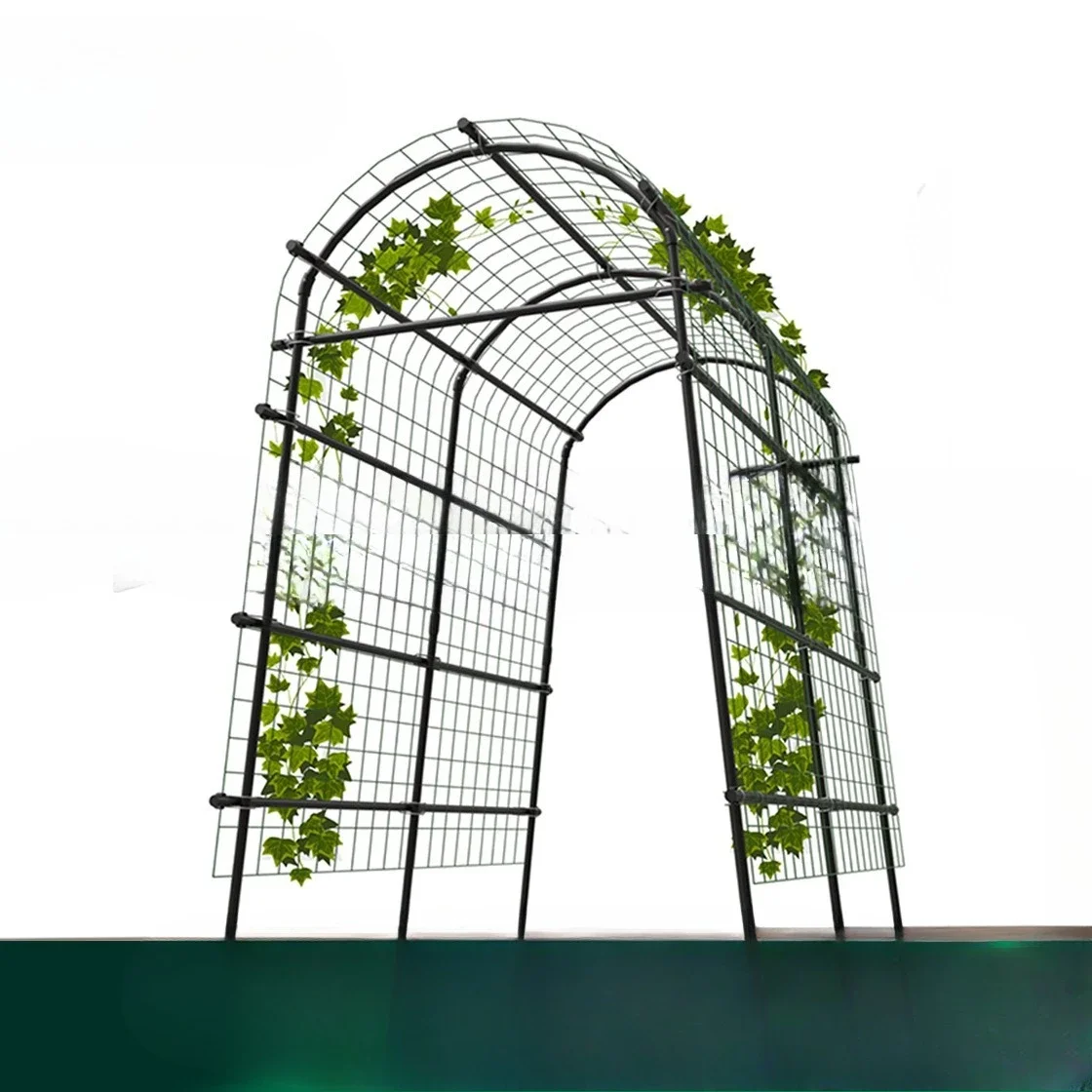 Pumpkin loofah beans cucumber zucchini planting climbing vine frame outdoor plant support plastic-coated steel pipe