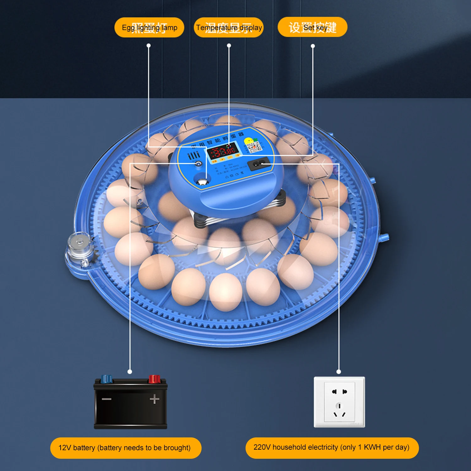 Eggs Incubator, Multi-purpose Dual Power Supplies,With Automatic Water Ionic Waterbed Replenishment And Temperature Contro