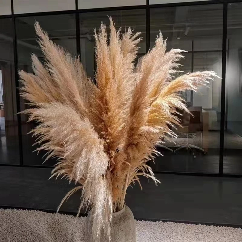 Boho Dried Flowers Wedding Arrangement Fluffy Large Pampas Grass Home Boho Country Pompas Floral Decoration Home Garden ​Decor