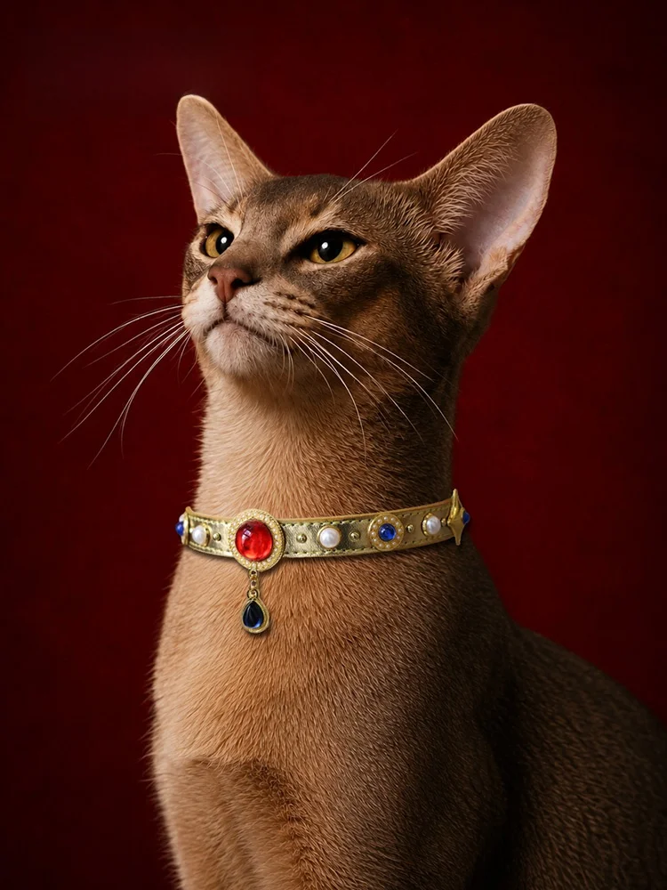 Creative Gift Museum Li Jingxun Embedded Gemstone Pet Collar  Dog Necklace Luxury Style Zinc Alloy Gold Color for Friends