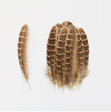 10 قطعة/المزيد من عرض الحفلة الراقصة المنصة زخارف للحانات ريشة النار قطعة ريشة وشاح كرنفال الهالوين #4