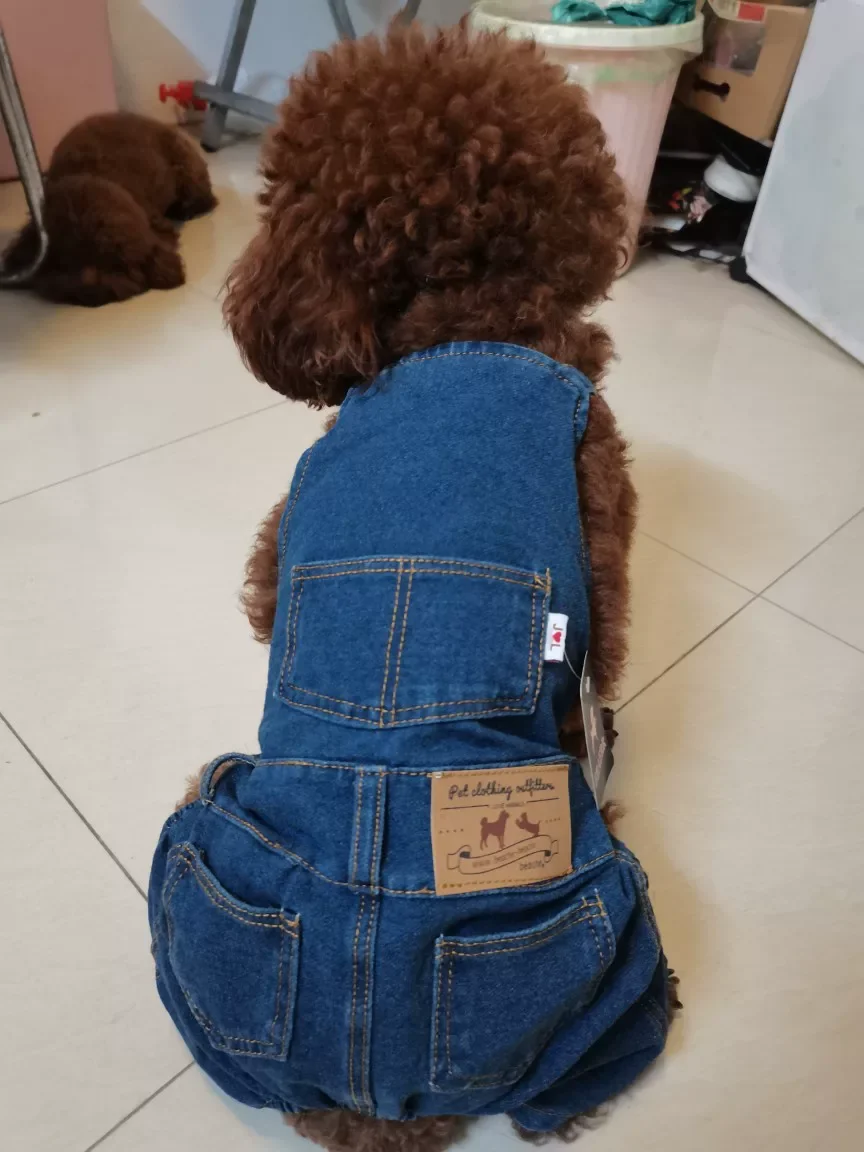 New Washable Stretchy Dog Denim Jacket with Harness Comfortable Pet Clothes Strong Dog Jacket Pet Products for Dogs