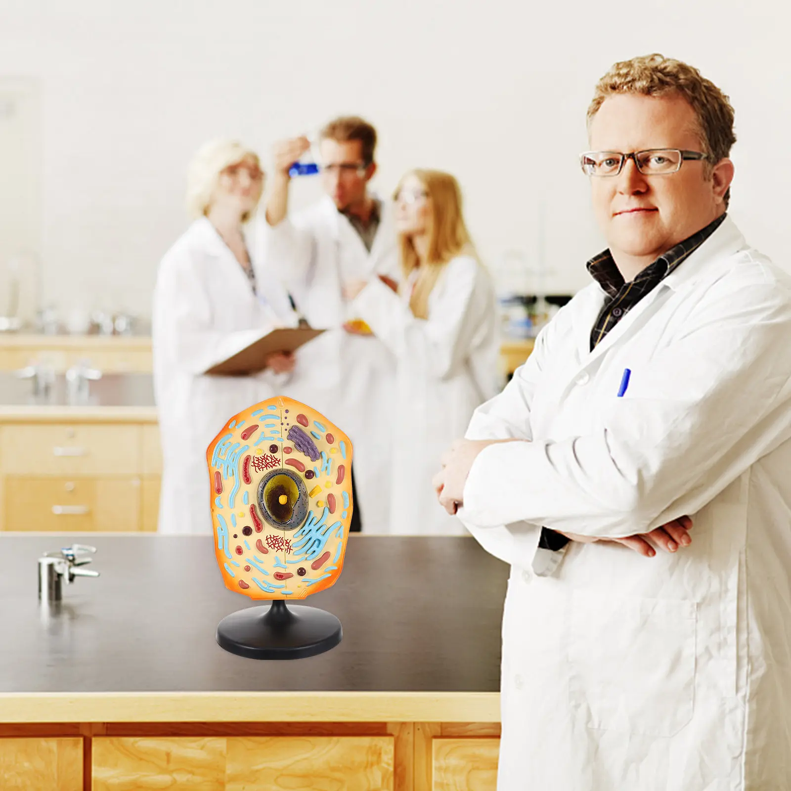 modelo-de-celula-animal-para-ensenanza-material-abs-biologia-anatomia-ayuda-educativa-para-la-estructura-celular-para-escuela-y-universidad