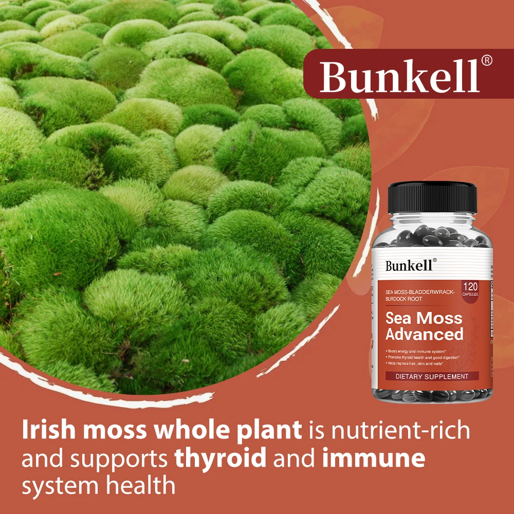 كبسولات طحالب البحر الأيرلندية - مع مستخلص جذر المثانة والأرقطيون لتعزيز الامتصاص - دعم المناعة، نباتي، غير معدلة وراثيًا #2