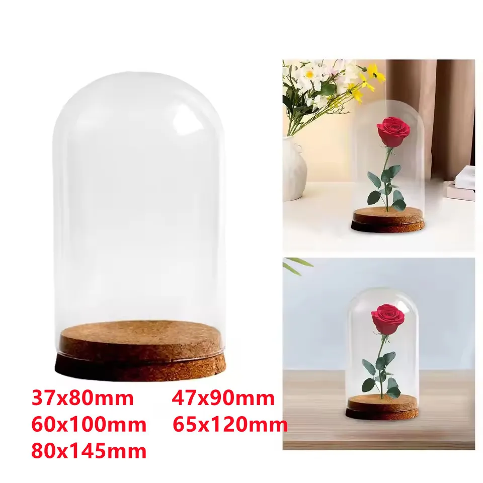 

48pcs Clear Glass Hemisphere Cover Glass Dome Covers Protect Dry Flower For Flower Succulent Plant Vase Wood Table Decor