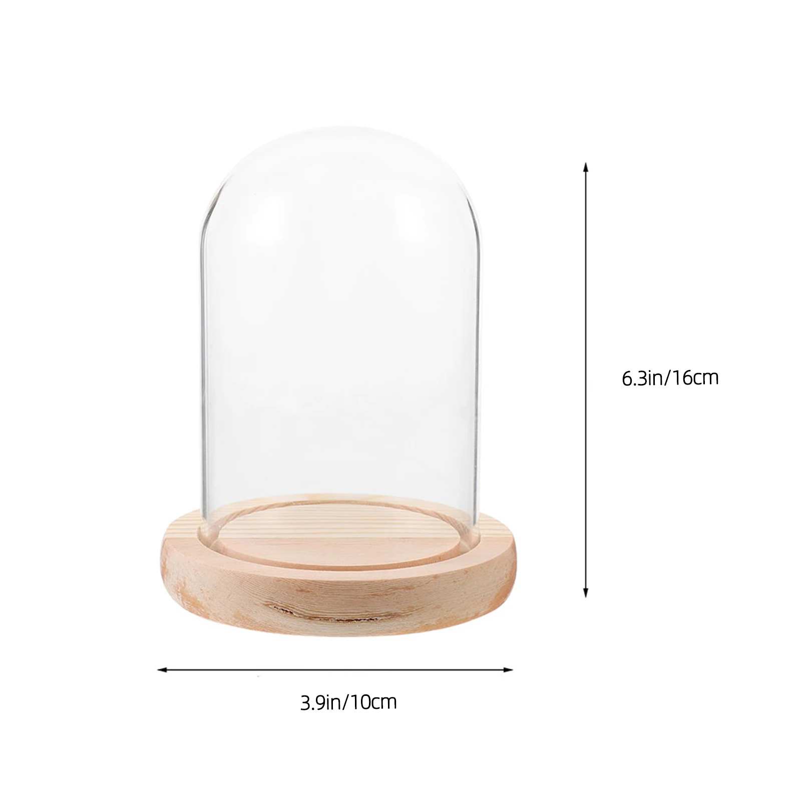 

Glass Display Cloche Cover for Desktop Decor Clear Collectibles Case Rose Glass Domes For Crafts Globe Plant Storage Jar Vase