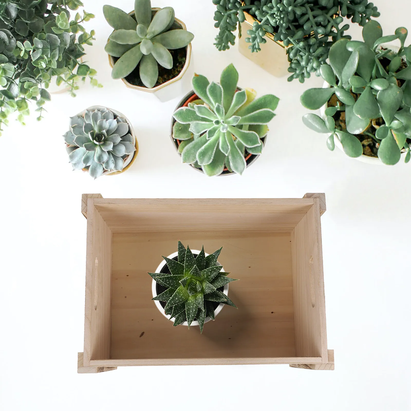 jardiniere-rectangulaire-en-bois-couleur-vintage-pot-de-fleurs-rustique-en-bois-massif-pour-plantes-succulentes-interieur-exterieur-jardin-rustique