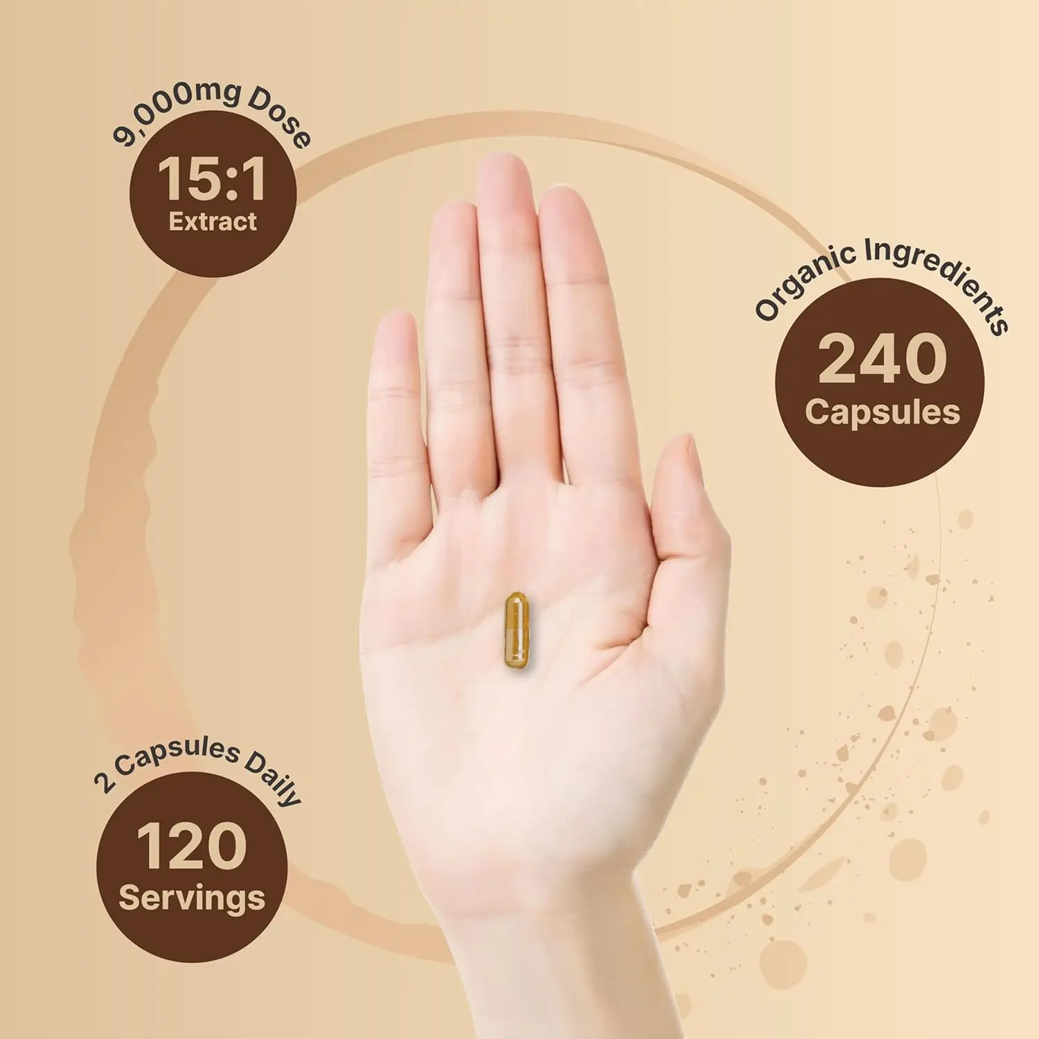 Lion Mane Mushroom Capsules - Using Organic Lion Mane Powder Extract - Cognitive Brain Puzzle and Immune Health Support