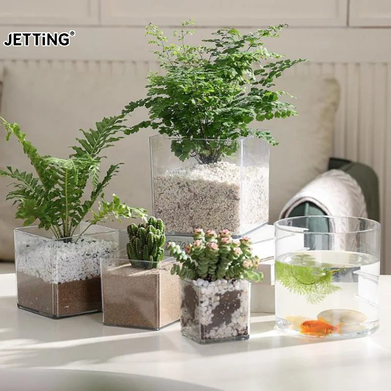 Bonsai Garden Nursery - Vasi per piante in acrilico trasparente