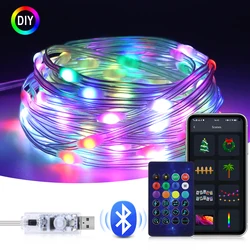 Garland USB 5V WS2812B Bluetooth LED String Fairy Lights Dreamcolor RGBIC Addressable Party Christmas Lights Wedding Decoration