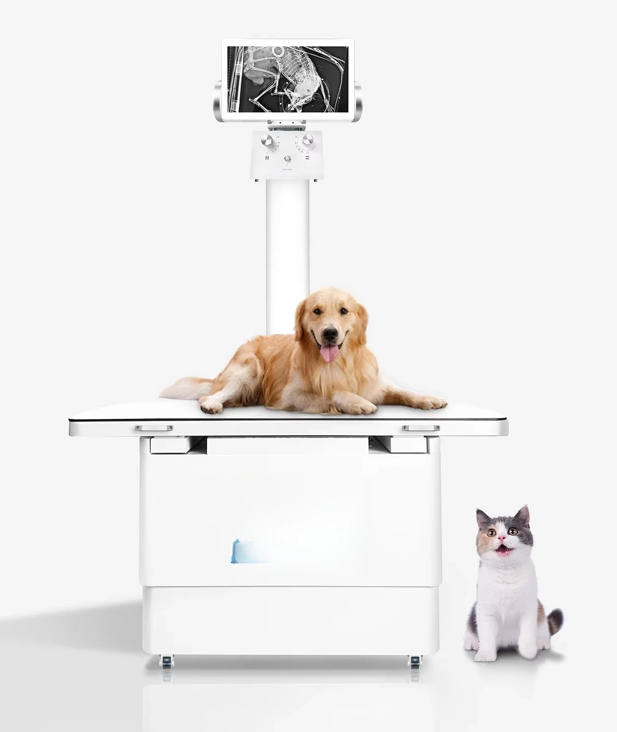 Pet DR veterinary x-ray high-quality imaging equipment factory direct sales low price