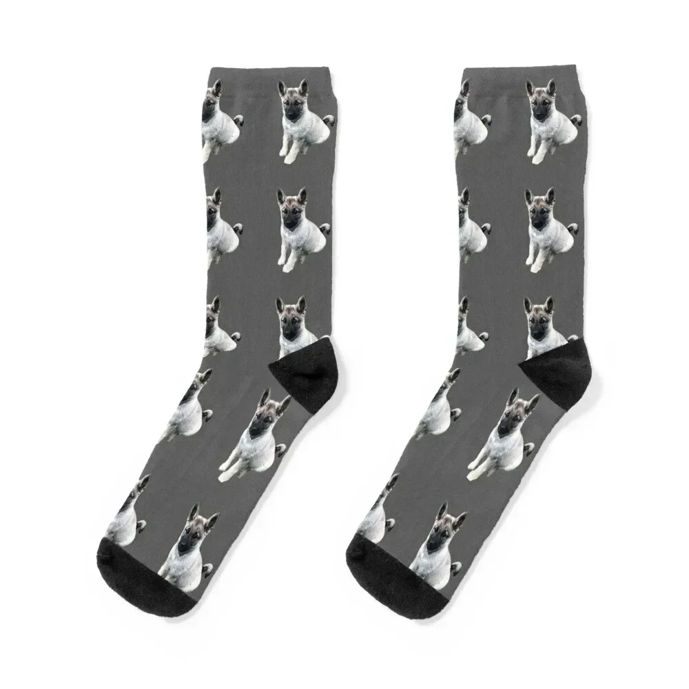 

Norwegian Elkhound Puppy Socks New year's winter gifts Socks Women's Men's