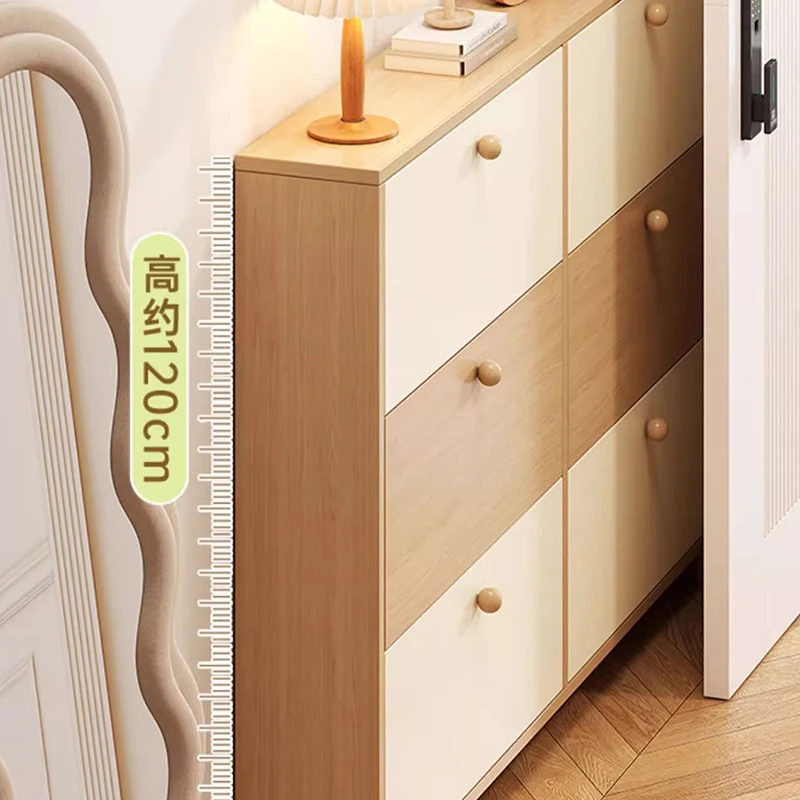 Drawer Dust Proof Shoe Racks Cabinet Designs Bedroom Women Shoe Rack Entry Minimalist Luxury Muebles Para El Hogar Decoration