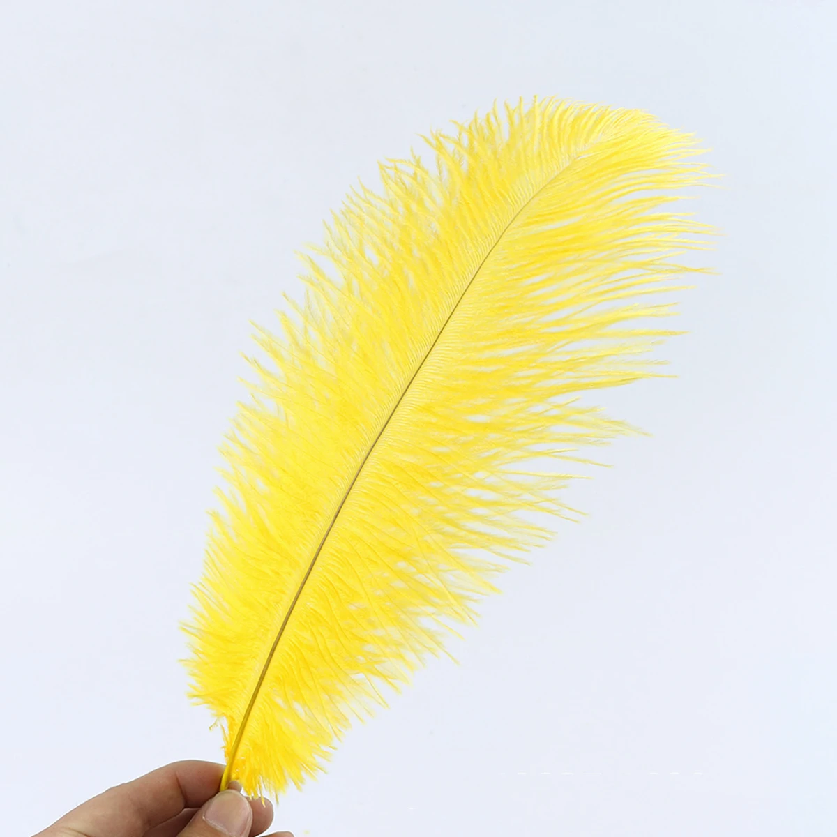 

10pcs White Ostrich Craft Wedding Party Home Decoration Diy Fumigated Natural Decorations Costumes Trim Crafts