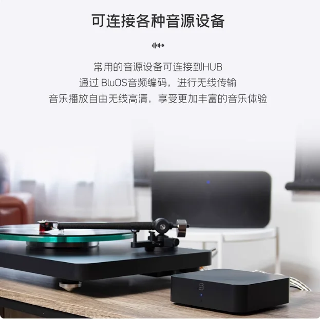 Bluesound HUB Hub BluOS HD Audio Input Wireless Multi Room Streaming System