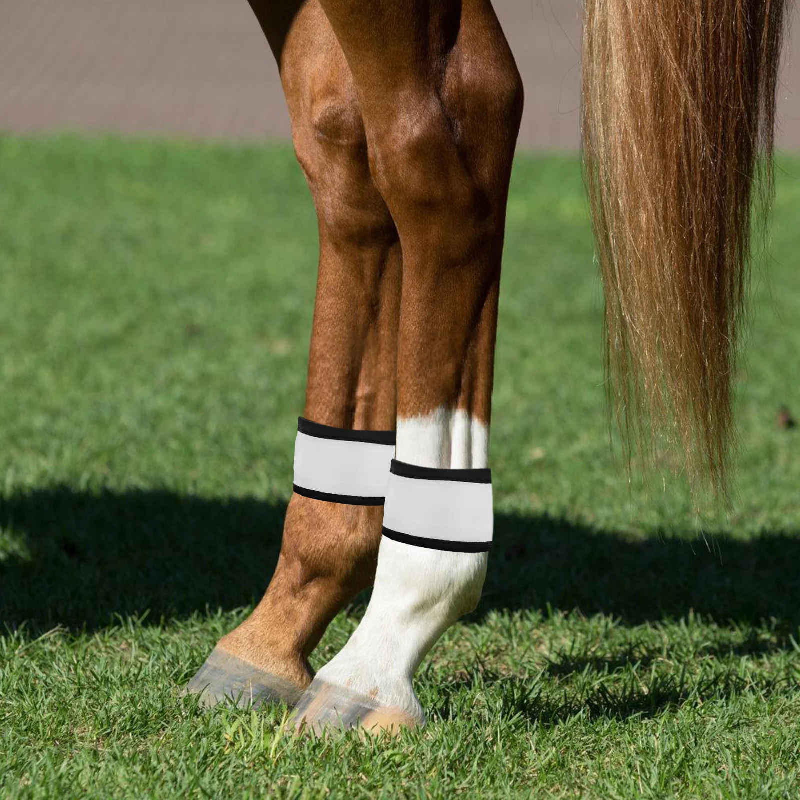 

4Pcs LED Horse Leg Bands Adjustable Visibility Straps Night Riding Safety Reflective Equipment Equestrian Accessories