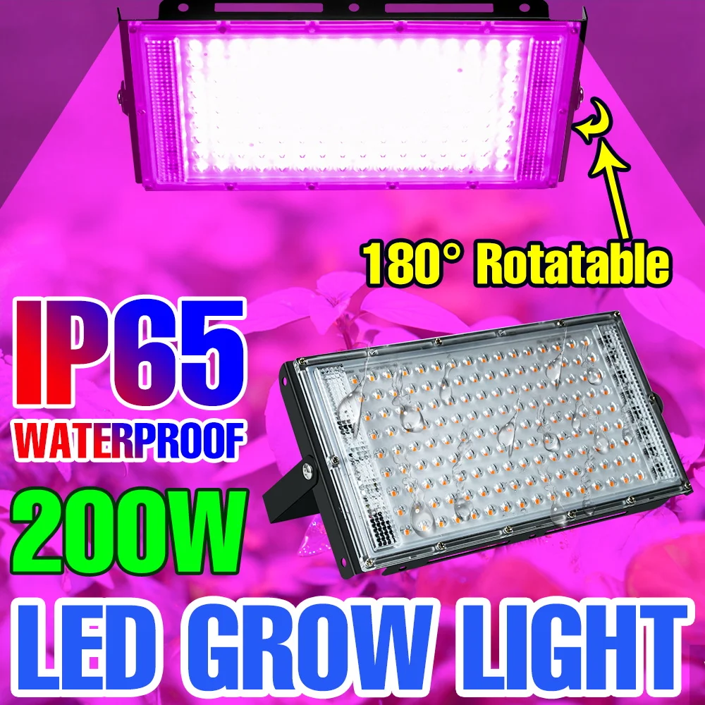 

Full Spectrum Plant Grow Light Hydroponic LED Lamp 220V Phyto Fitolampy LED Growing Light 200W Greenhouse Lighting Phytolamps